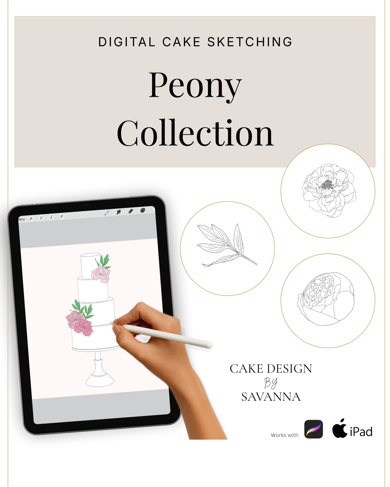 Digital Cake Sketching - Peony Flower - Procreate Stamps - Prop Options
