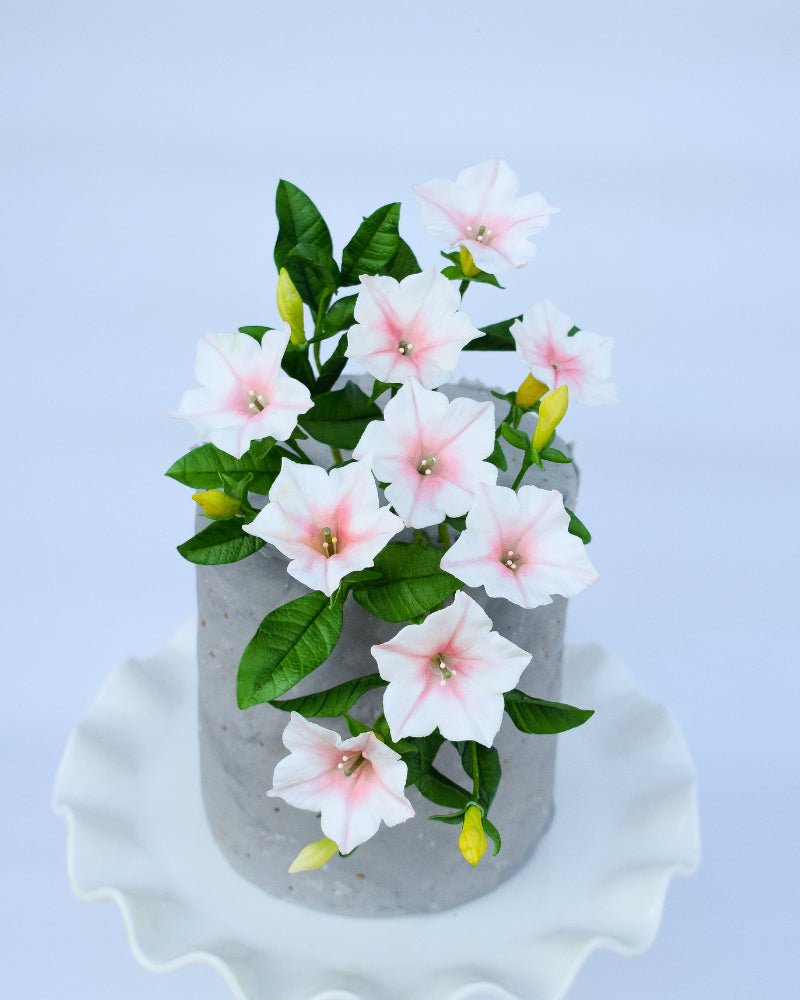 Pasta Bouquet Sugar Paste - Ideal for Floral Decorations