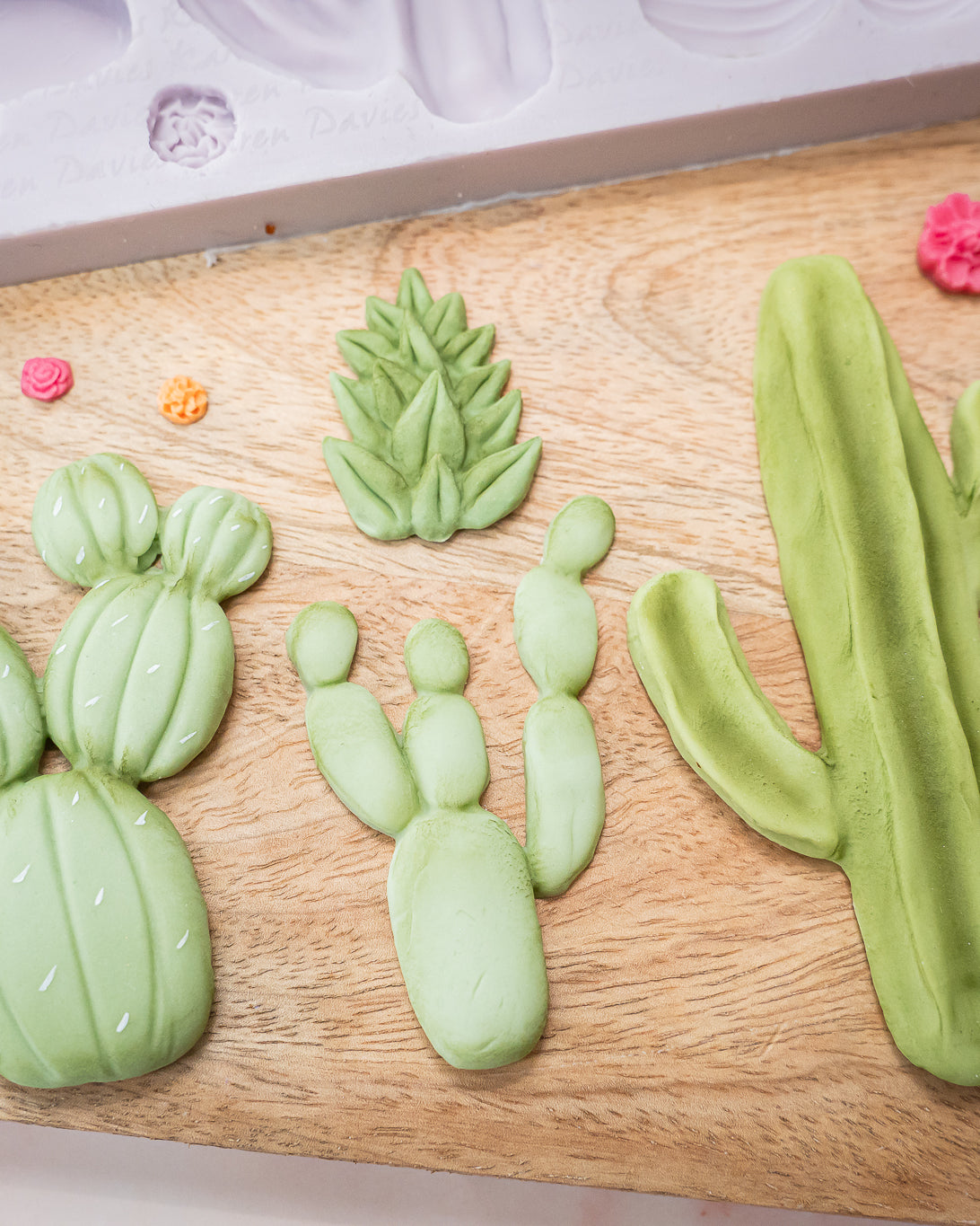 Cactus Garden Silicone Mould