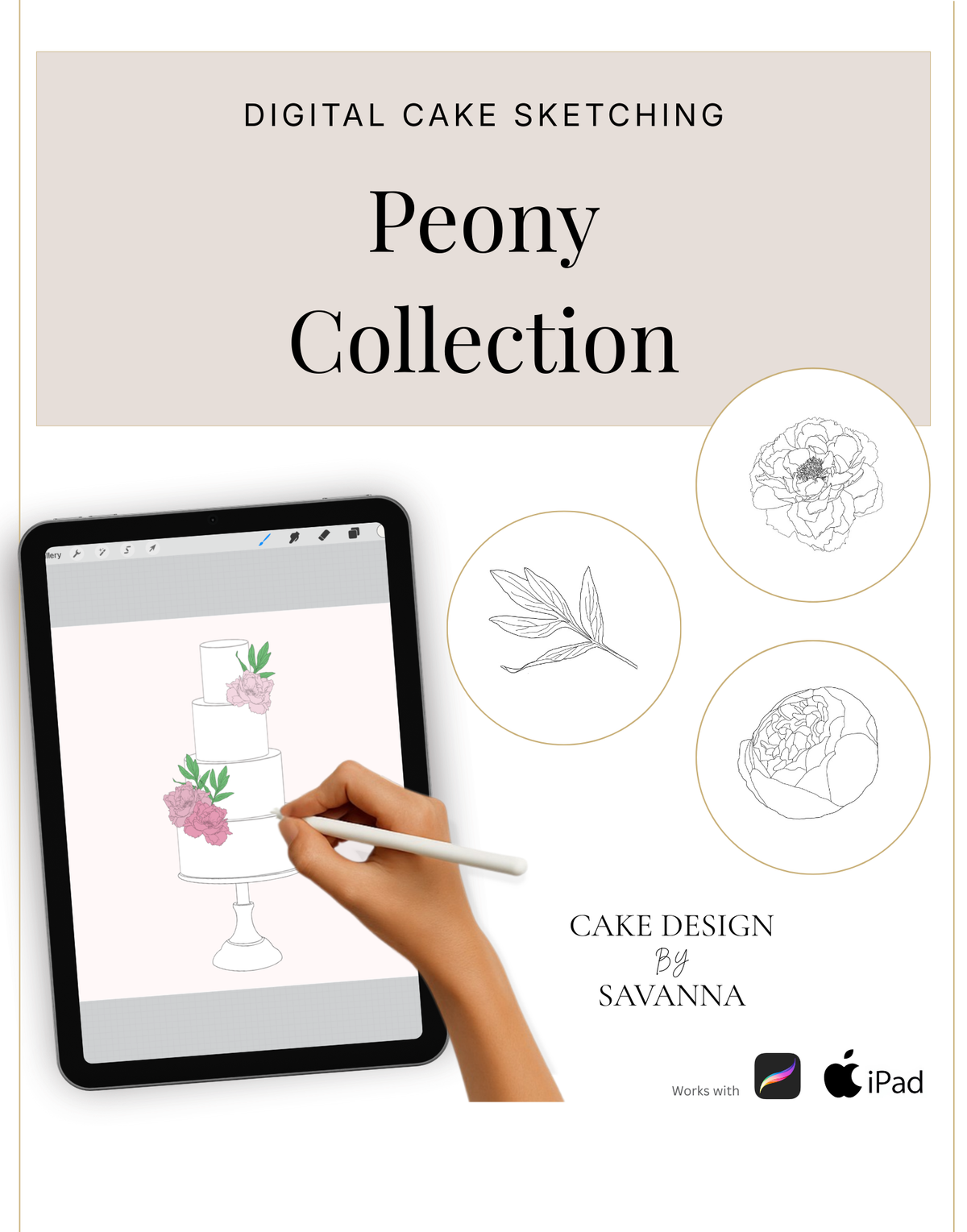 Digital Sketching Peony Flower Procreate Stamps