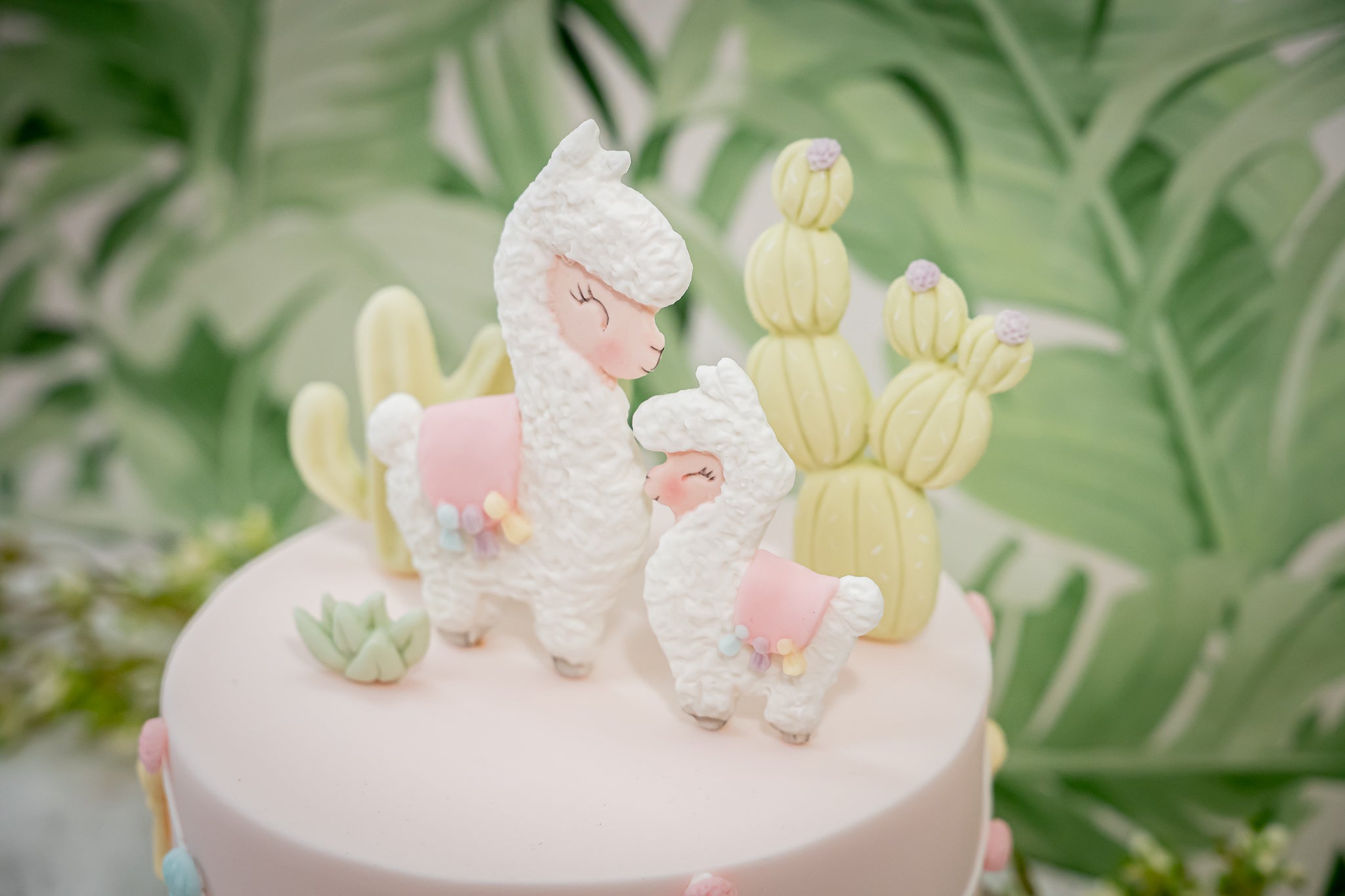 Cactus Garden Silicone Mould