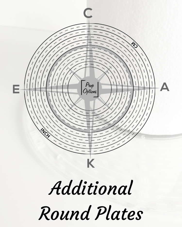 Prop Options The Cake Compass additional round plates